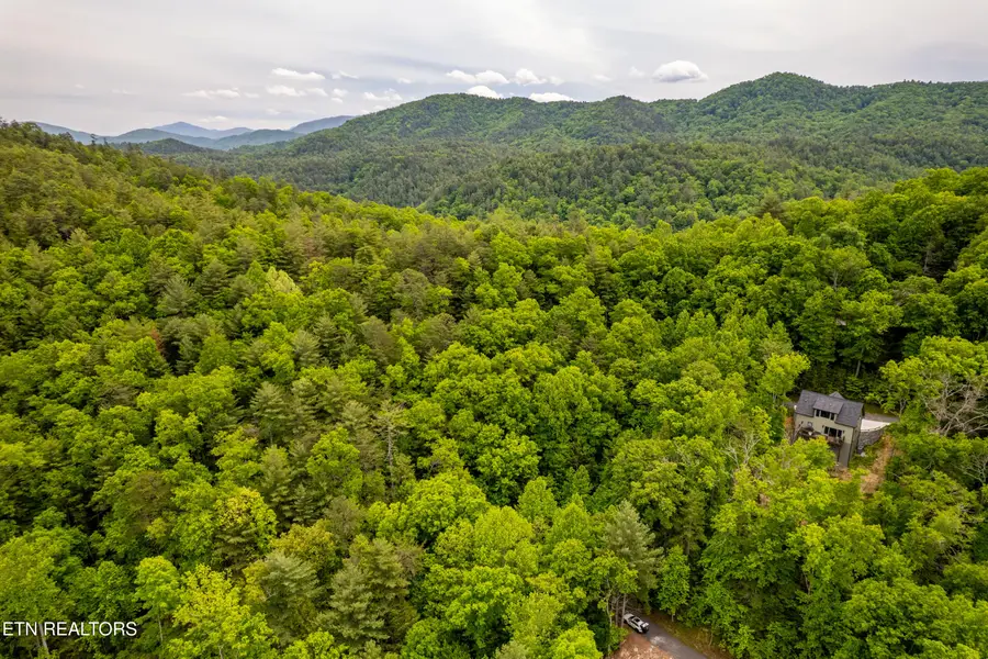 914 Stonegate Way, Townsend, TN 37882 - #3