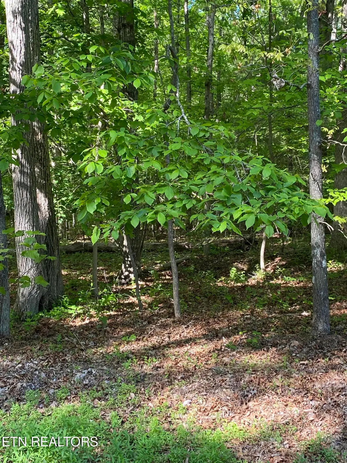 4035 Kila, Crossville, TN 38572 - #1