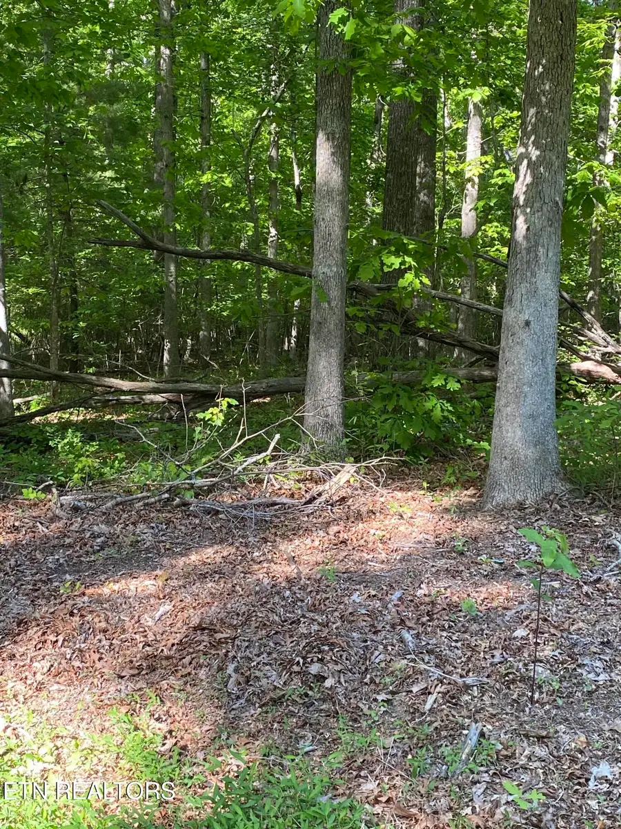 4035 Kila, Crossville, TN 38572 - #2