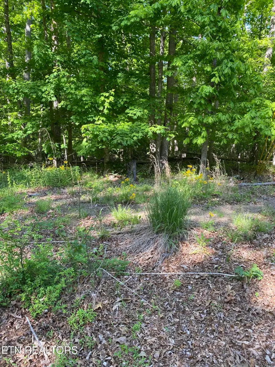 4035 Kila, Crossville, TN 38572 - #3
