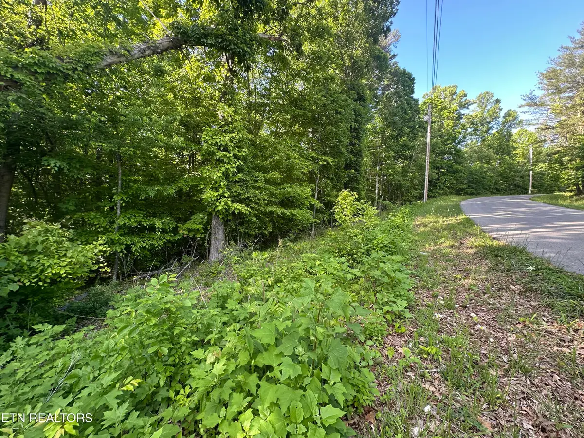 Pine Hollow Rd, Jacksboro, TN 37757 - #1