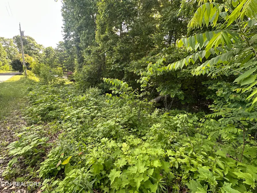 Pine Hollow Rd, Jacksboro, TN 37757 - #2