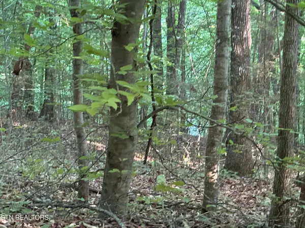 Cassies Xing, Speedwell, TN 37870