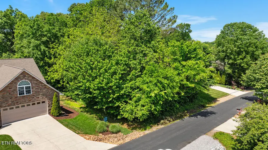304 Inagehi Lane, Loudon, TN 37774 - #3