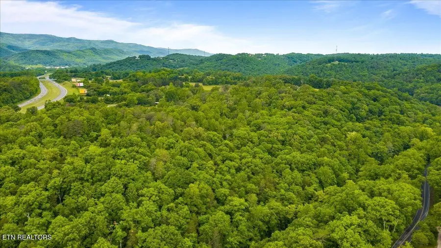 341 Lovely Bluff Rd, Rocky Top, TN 37769 - #2