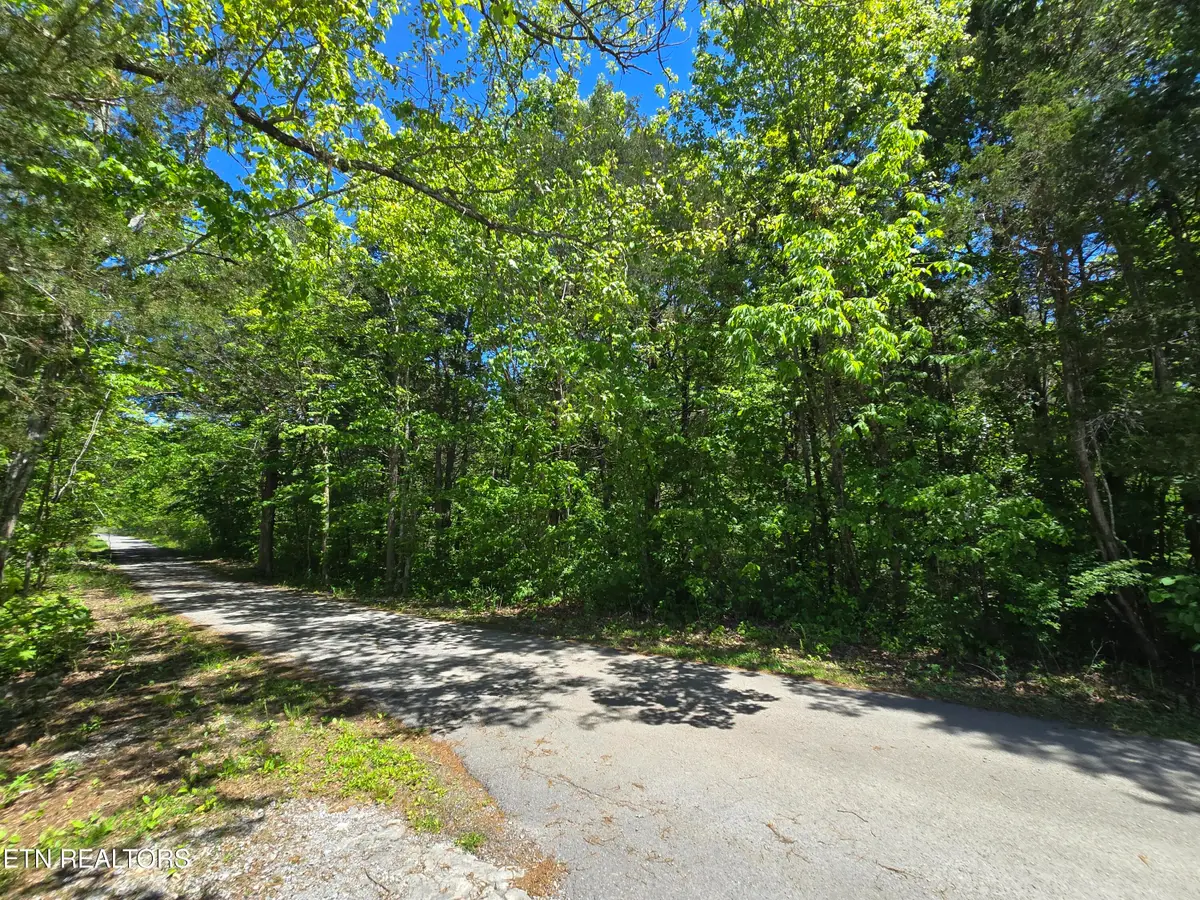0 Hershell Drive, Pennington Gap, VA 24277 - #1