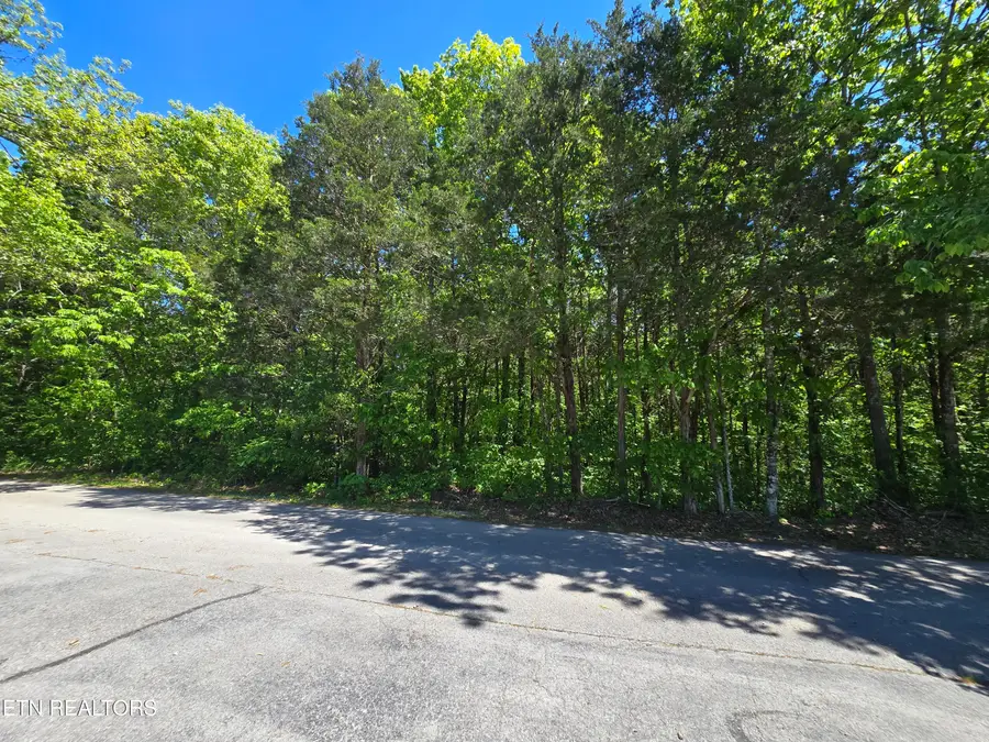 0 Hershell Drive, Pennington Gap, VA 24277 - #2