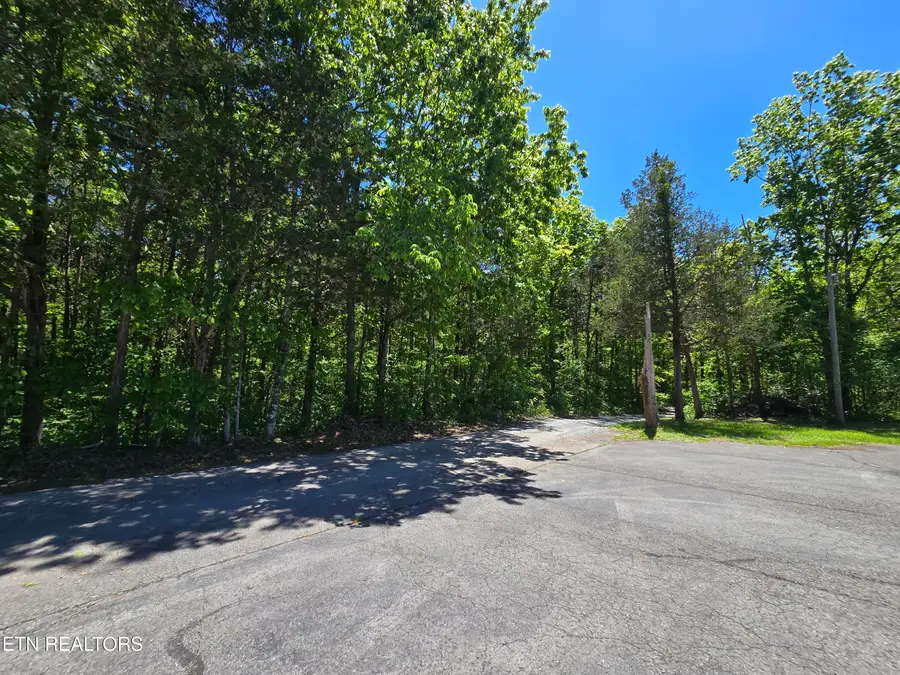 0 Hershell Drive, Pennington Gap, VA 24277 - #3