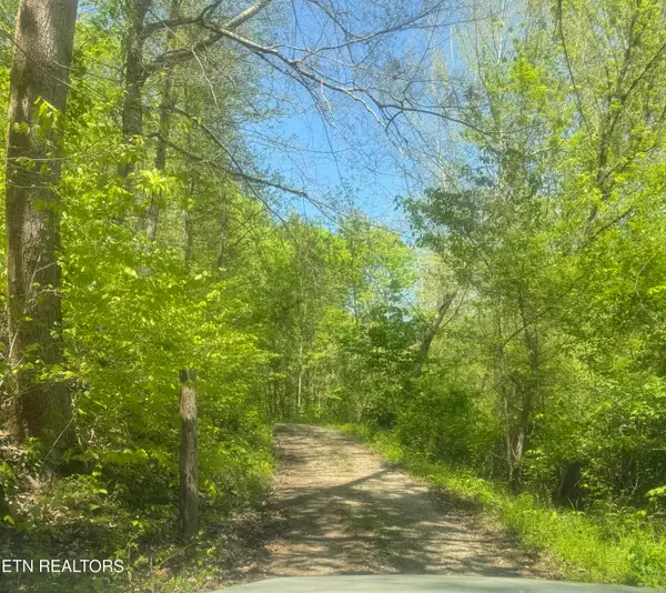 Anna Ln, Clairfield, TN 37715