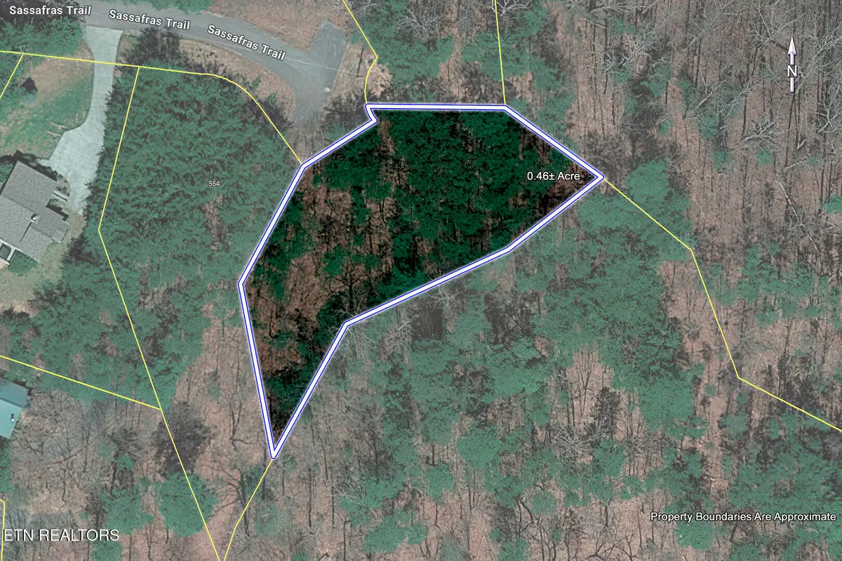 Sassafras Tr, Sevierville, TN 37876 - #1