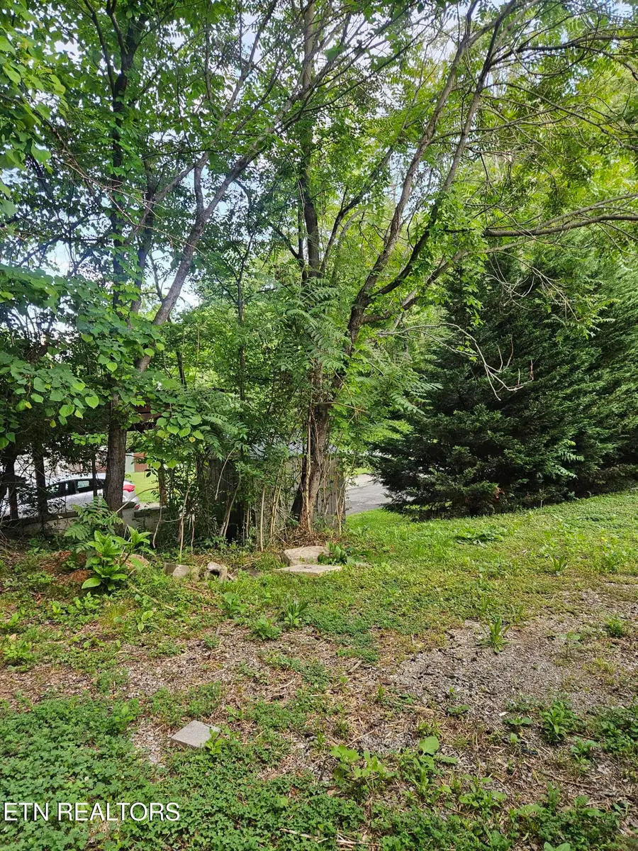 240 Henderson Hollow Rd, Knoxville, TN 37931 - #3
