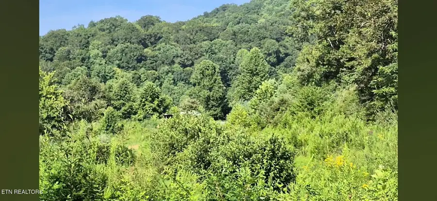 216 Lower Capuchin Rd, Winfield, TN 37892 - #3