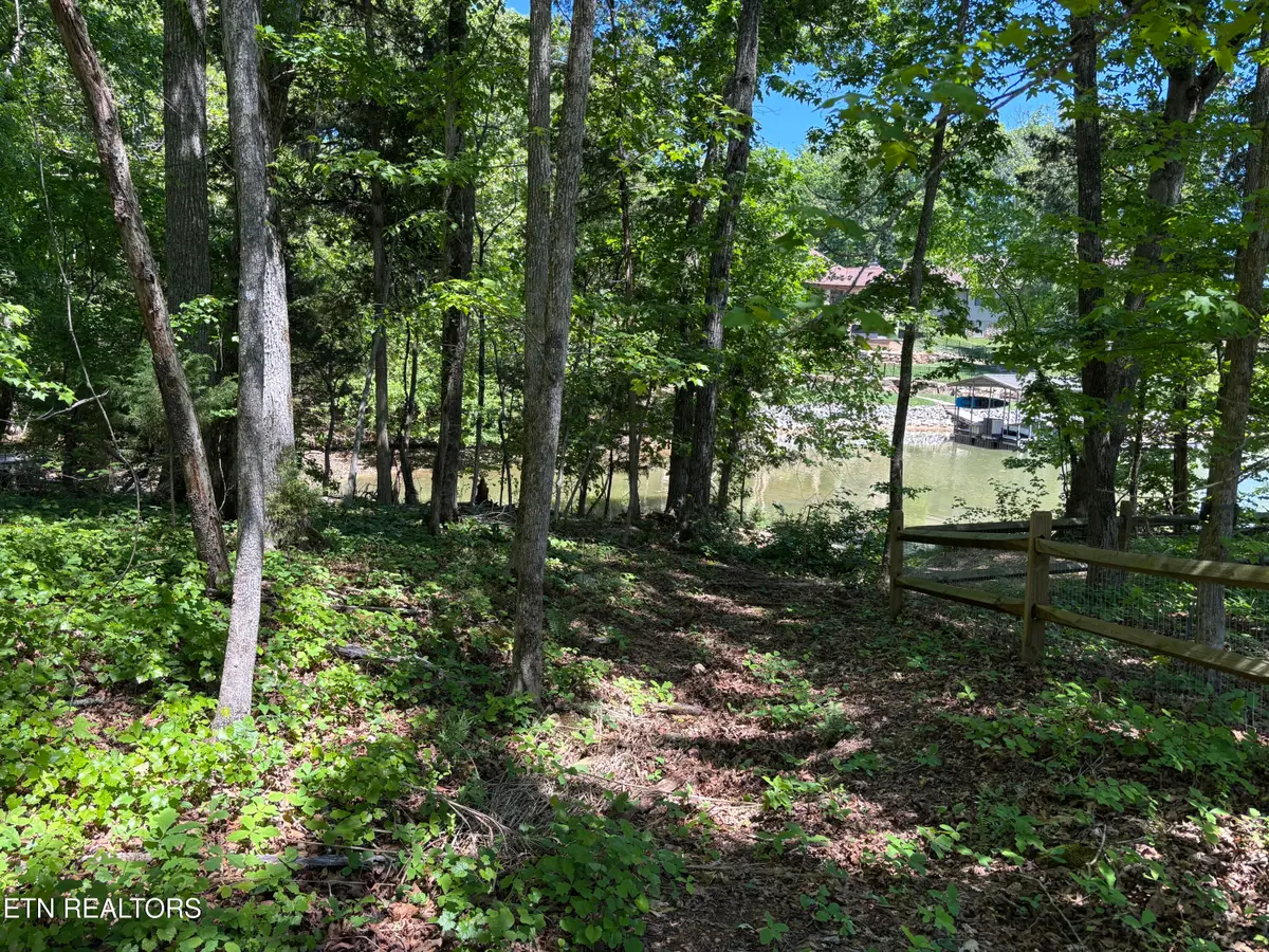 E Shore Drive, Rockwood, TN 37854 - #1