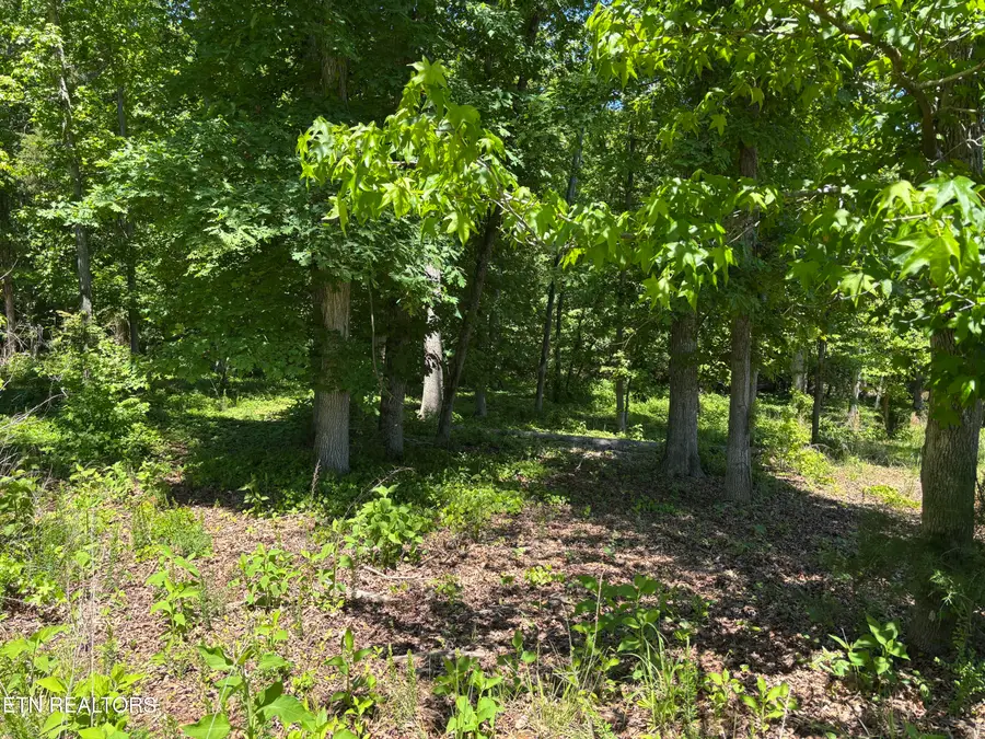 E Shore Drive, Rockwood, TN 37854 - #2