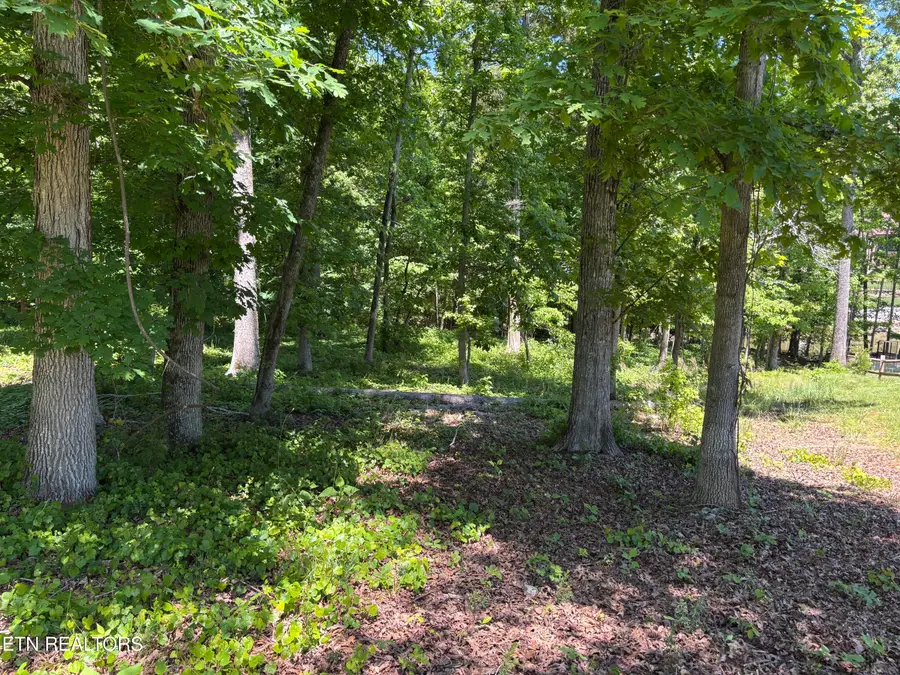 E Shore Drive, Rockwood, TN 37854 - #3