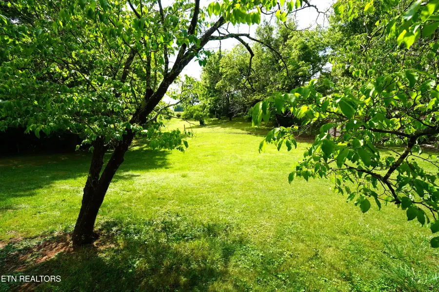1006 Woodland Way, Dandridge, TN 37725 - #3