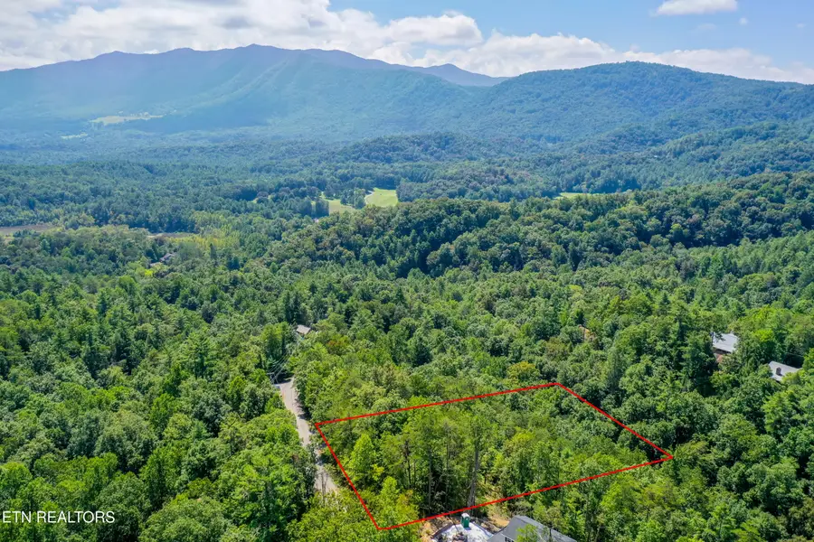 210 Cutter Gap Rd, Townsend, TN 37882 - #3