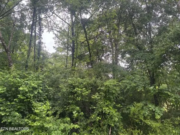 Brogan Lane, Tazewell, TN 37879