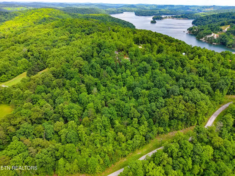 E Dogwood Tr, Lafollette, TN 37766 - #3