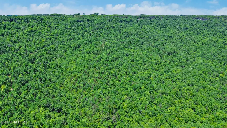 Junaluska Hwy, Jamestown, TN 38556 - #3