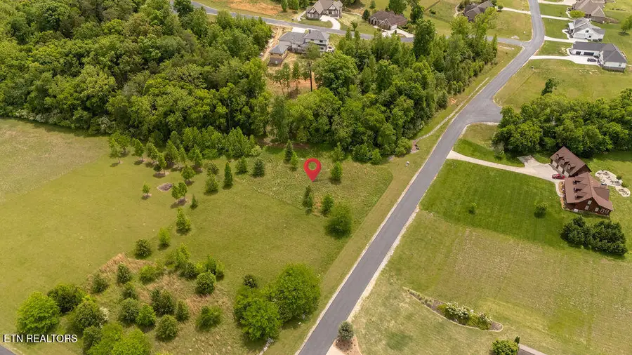 275 W Shore Drive, Rockwood, TN 37854 - #2