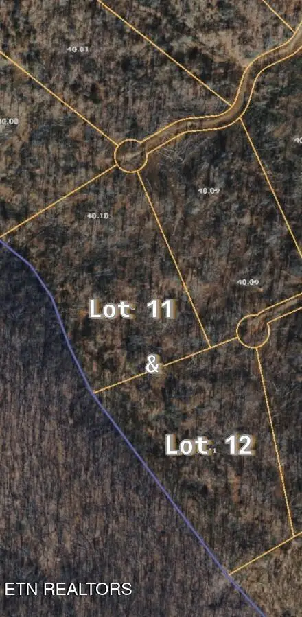 Lake Lane #Lot 11&12, New Tazewell, TN 37825 - #2