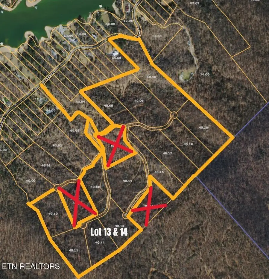 Lake Lane Lane #Lot13,14, New Tazewell, TN 37825 - #1