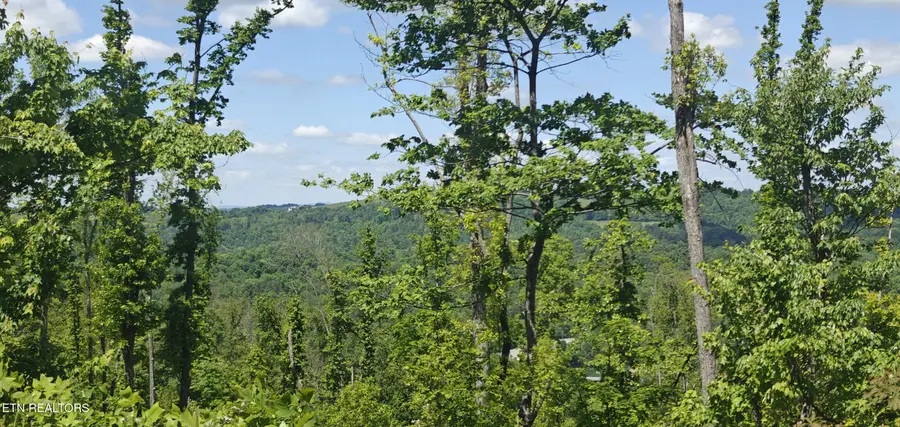 Lake Lane #Lot 7, New Tazewell, TN 37825 - #3