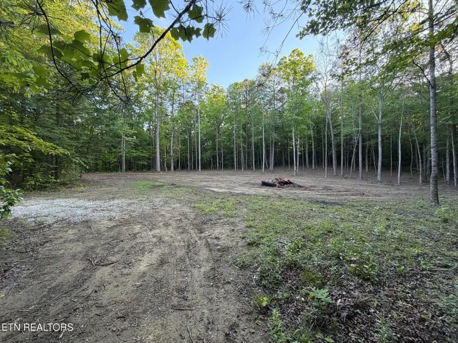 Long Branch Court, Allardt, TN 38504 - #2