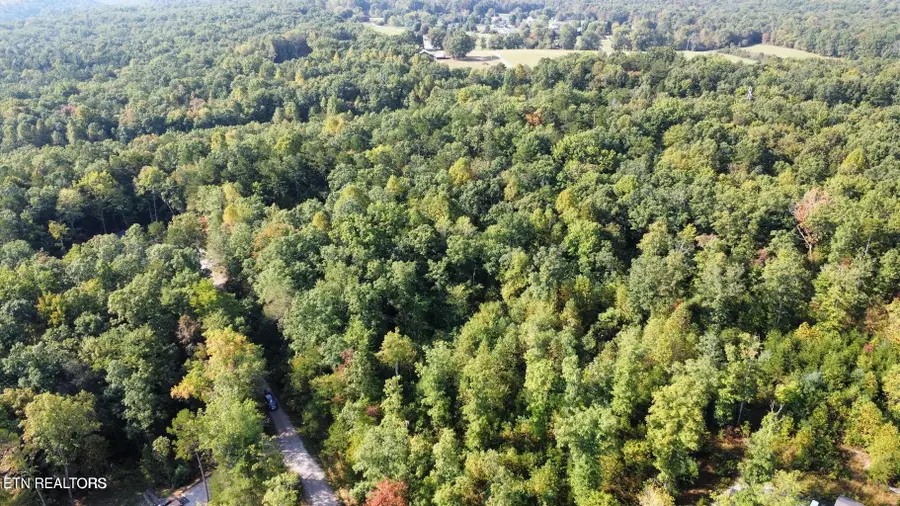 Long Branch Court, Allardt, TN 38504 - #3