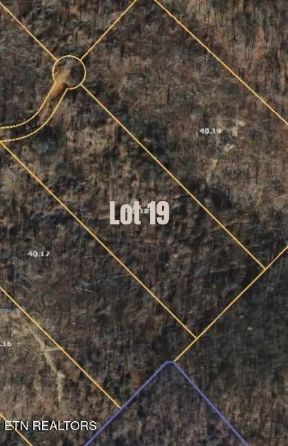 Lake Lane Lane #Lot 19, New Tazewell, TN 37825 - #2