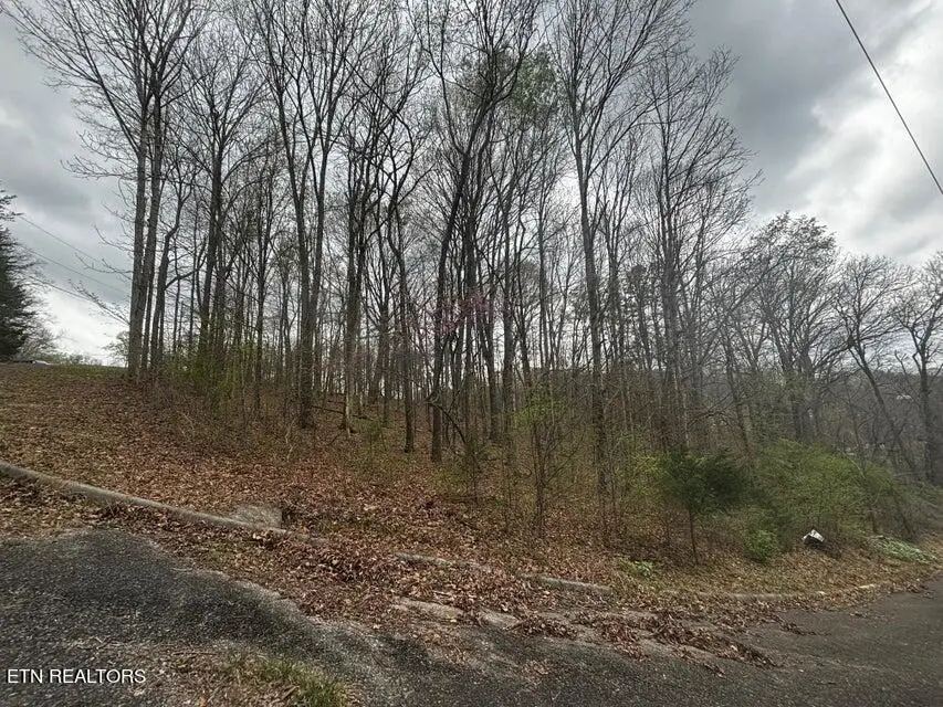 0000 Co Rd 197, Athens, TN 37303 - #1