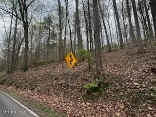0000 Co Rd 197, Athens, TN 37303 - #3