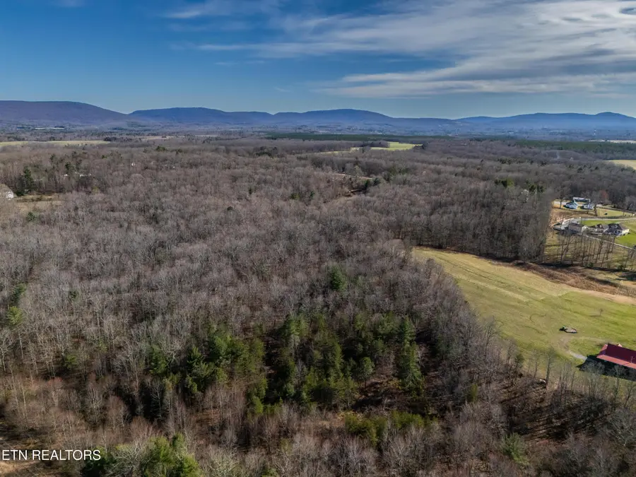 00 Davidson Lane, Crossville, TN 38571 - #3