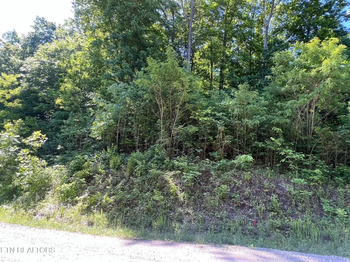 Apache Rd, Jamestown, TN 38556 - #1