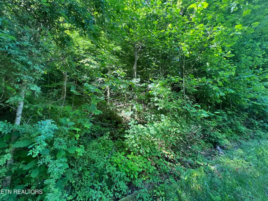 Apache Rd, Jamestown, TN 38556 - #2