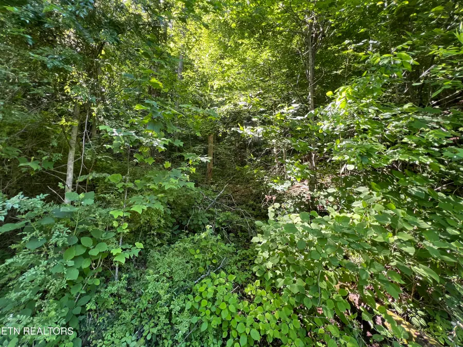 Apache Rd, Jamestown, TN 38556 - #3