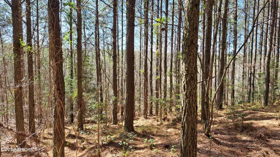 Lot 23 Cornerstone Dr, Rockwood, TN 37854 - #2