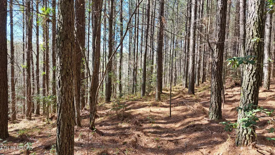 Lot 23 Cornerstone Dr, Rockwood, TN 37854 - #3