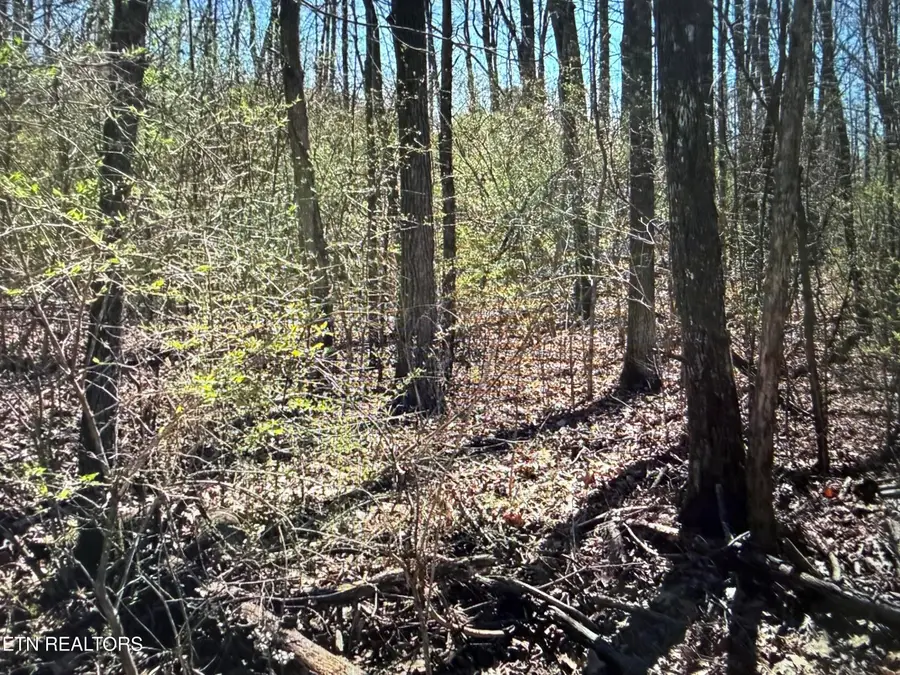 0 Tenth/knight, Crossville, TN 38555 - #2