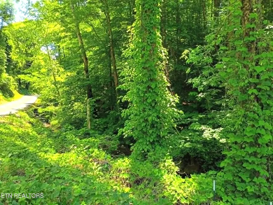 9025 Conner Rd, Powell, TN 37849 - #2