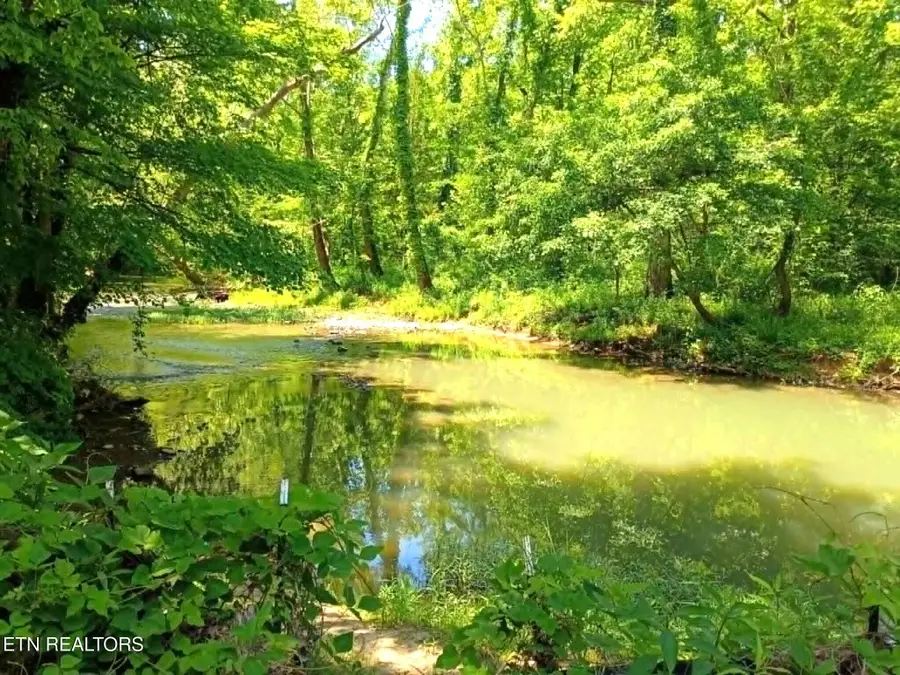 9025 Conner Rd, Powell, TN 37849 - #3