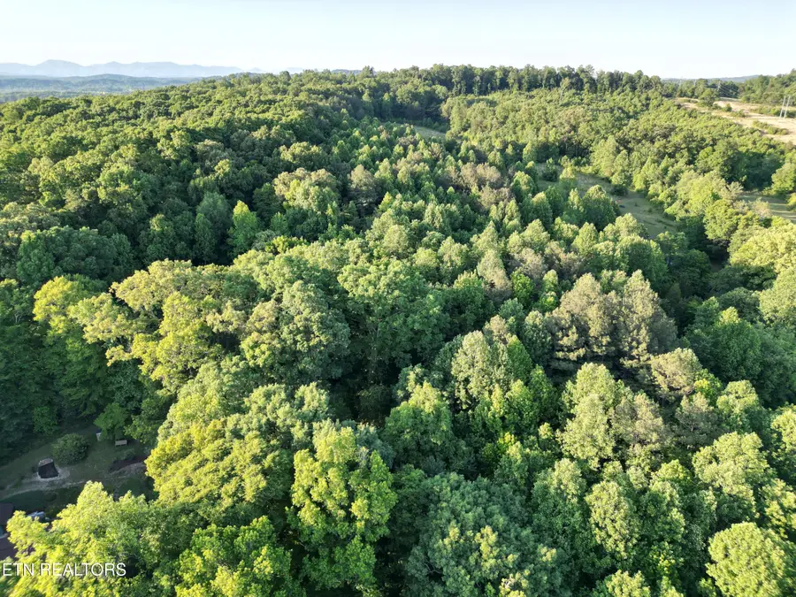 White Wing Rd, Lenoir City, TN 37771 - #3