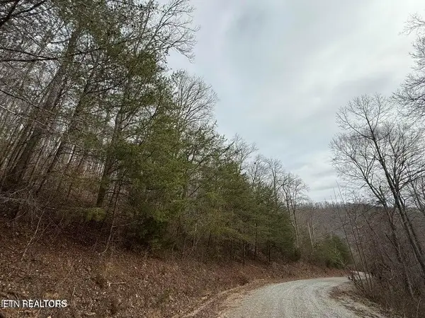 Jones Ridge Rd Rd, Speedwell, TN 37870