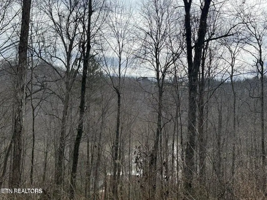 Jones Ridge Rd Rd, Speedwell, TN 37870 - #2