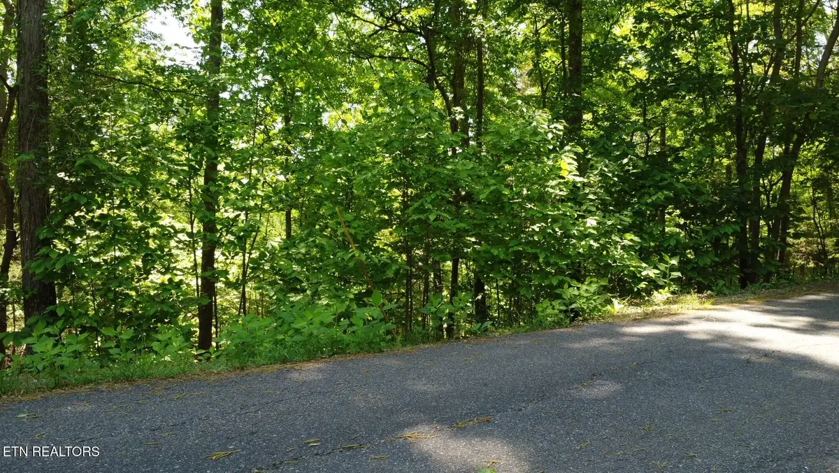 Deer Run Point #4B, Lafollette, TN 37766 - #1