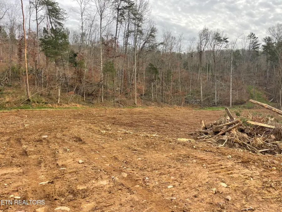 1.70 Acres Robbies Lane, Decatur, TN 37322 - #3
