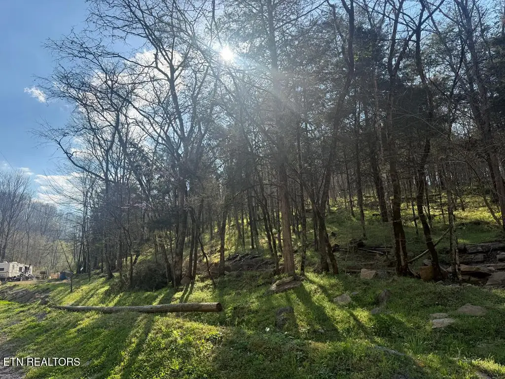 940 Riley Creek Rd, Whitleyville, TN 38588 - #1
