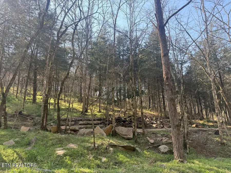 940 Riley Creek Rd, Whitleyville, TN 38588 - #2