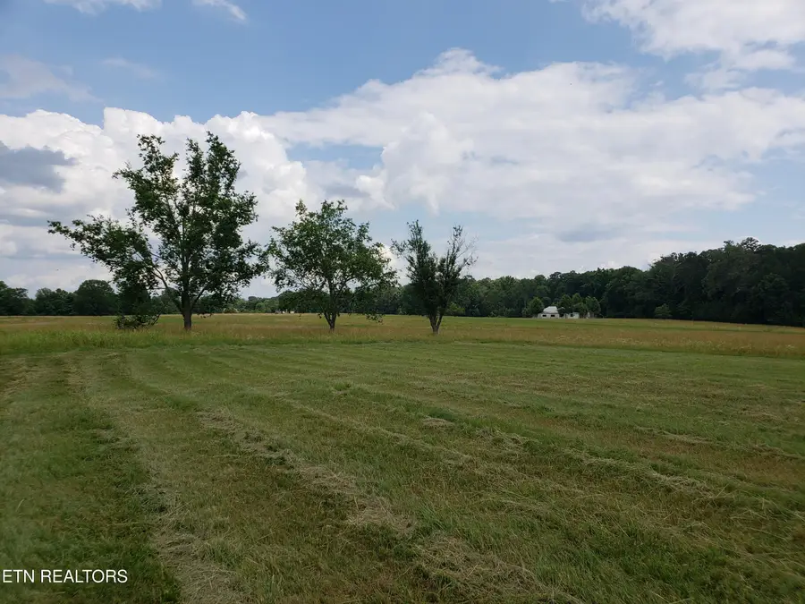 814 Tucker Place Way, Dandridge, TN 37725 - #3